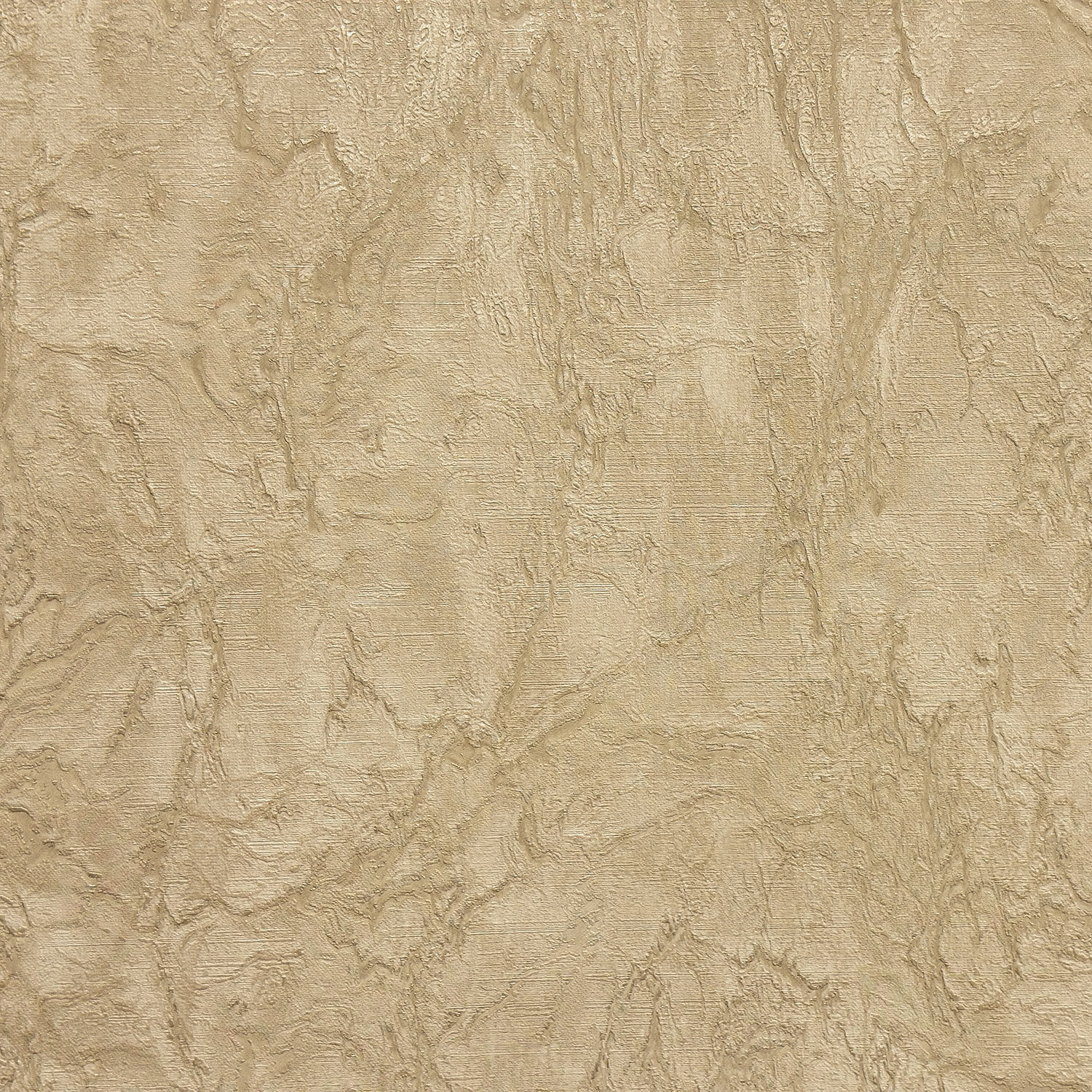 Monica История 2 (La Storia II) MS11501