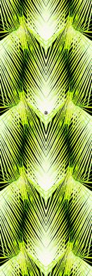 Emiliana Parati Roberto Cavalli 6 17201