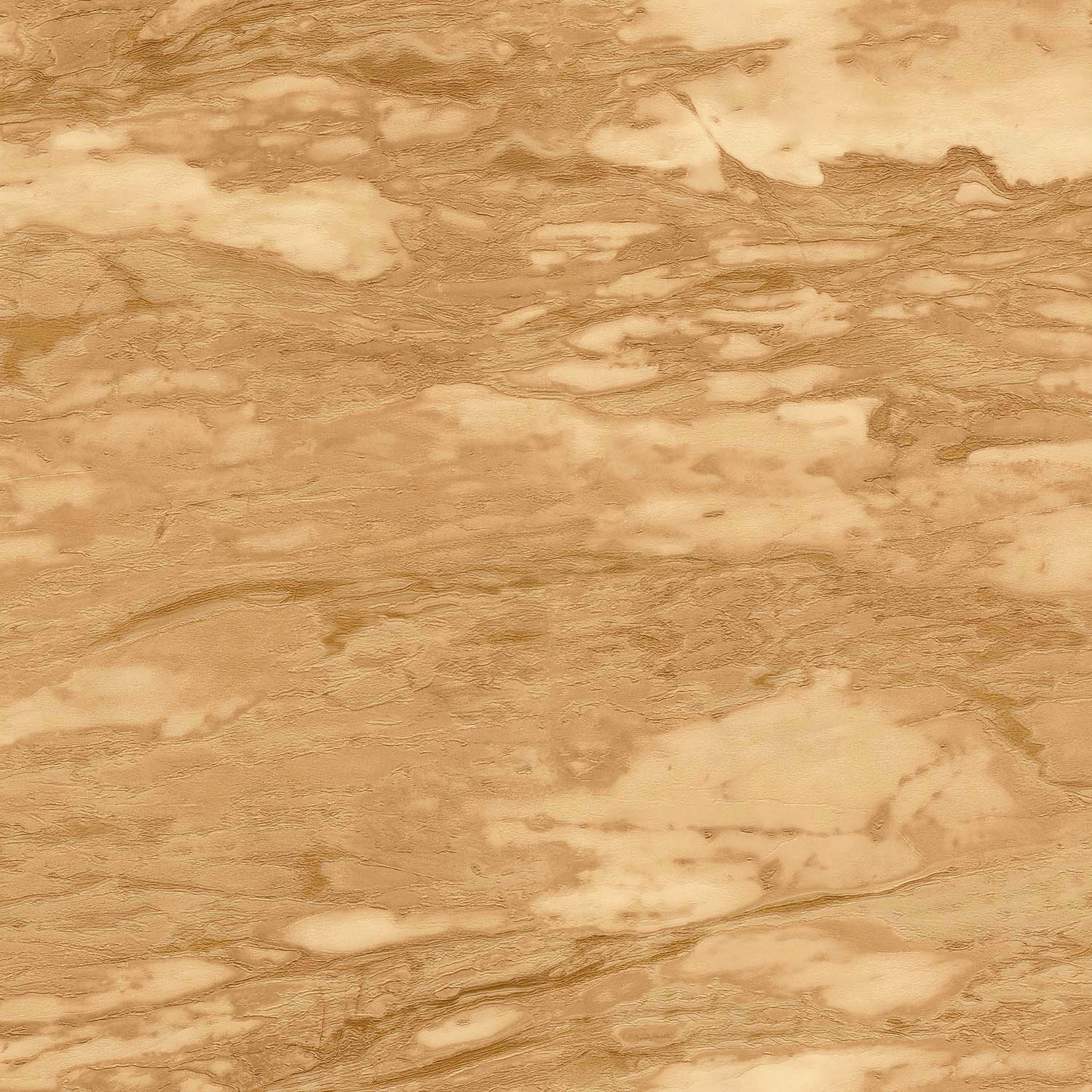 Emiliana Parati Roberto Cavalli №9 21029