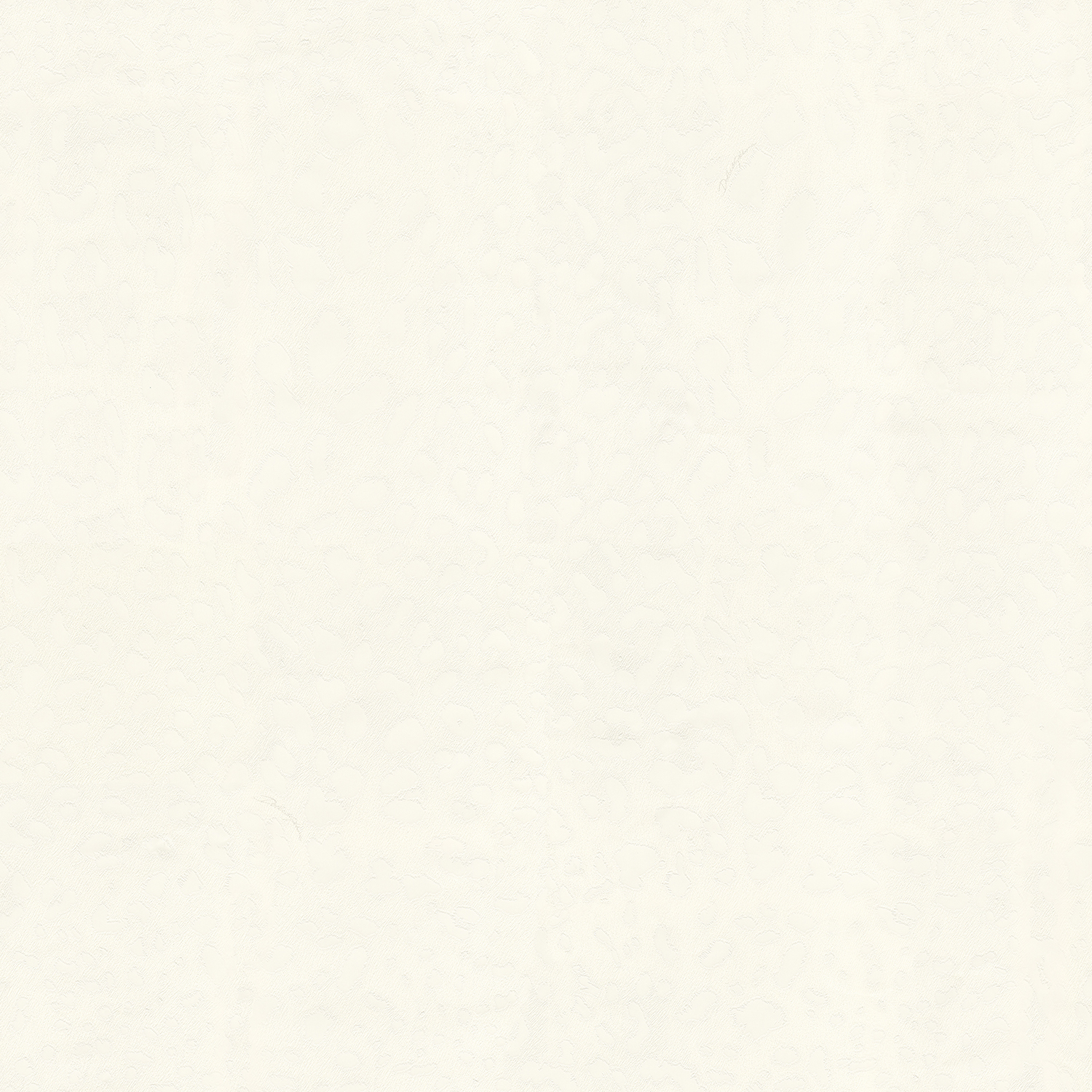 Emiliana Parati Dolce&Gabbana №1 30002DG