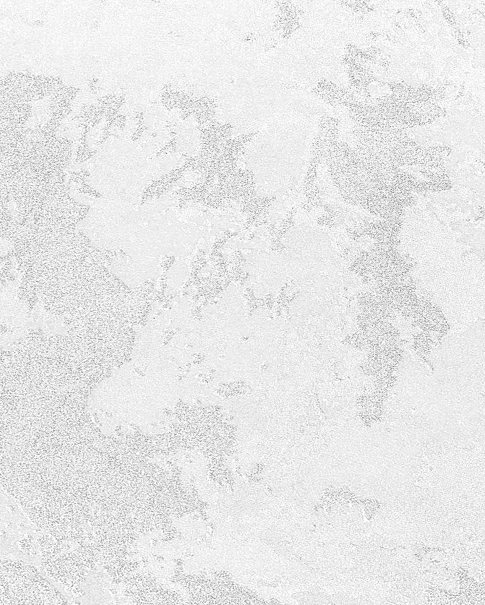 Lobel Шарм (Charm) 620208