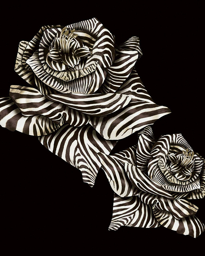 Emiliana Parati Roberto Cavalli №8 19116