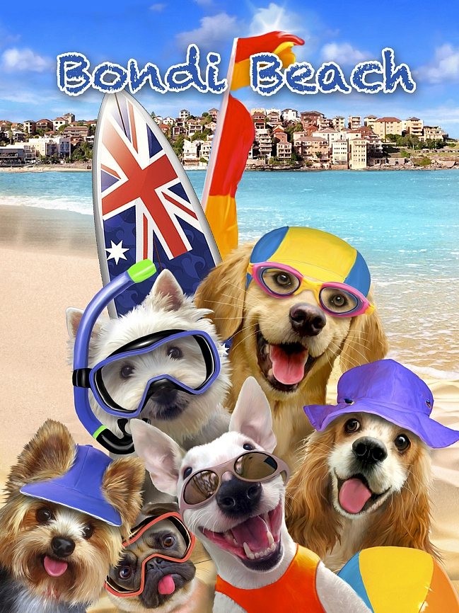 Partner Селфи-Соло (Selfi-Solo) 12853VEA